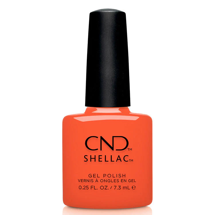 nail polish twinkling chiffon-CND Shellac #094 Ig-Night-Ed